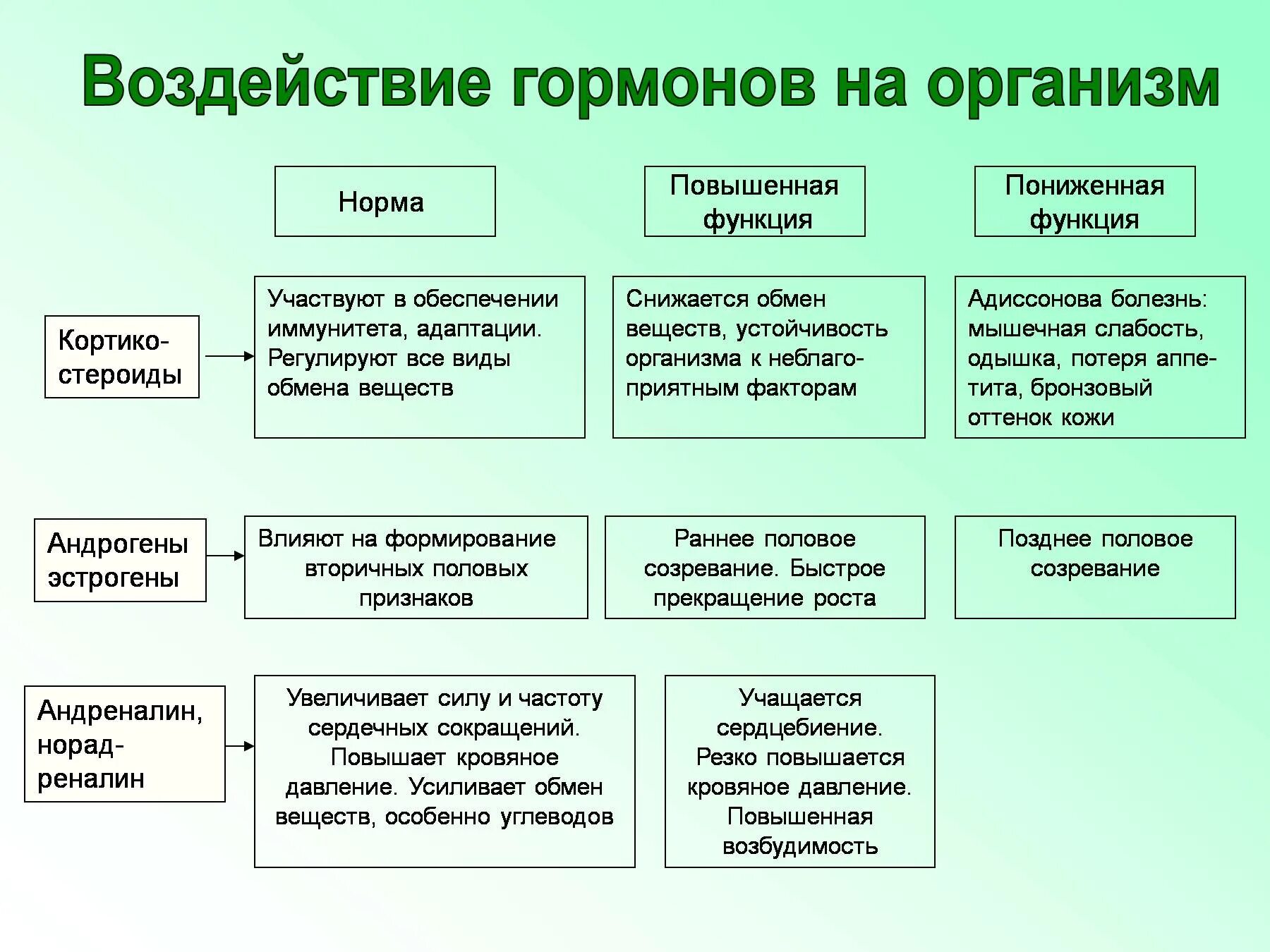 Влияние гормонов на развитие. Железы и роль гормонов в организме 8 класс. Половые железы гормоны и их функции. Влияние гормонов на организм. Гормоны человека схема.