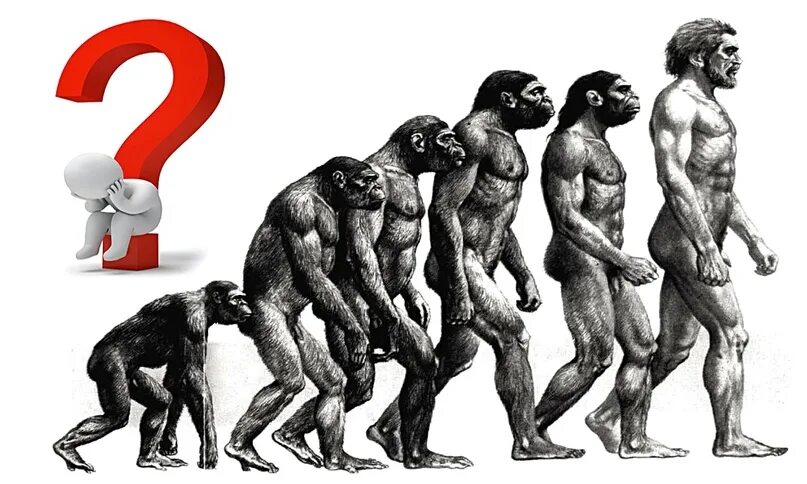 Проблемы теории эволюции. Критика теории эволюции. Современная теория эволюции. Современные проблемы теории эволюции эволюционная теория.