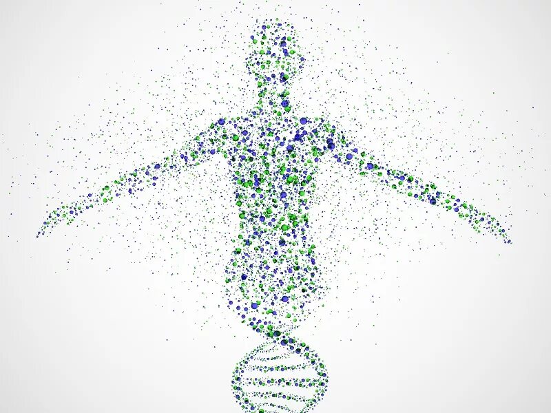 физиология. человек молекулярная система. атомы в теле человека. днк фигура. человек молекула.
