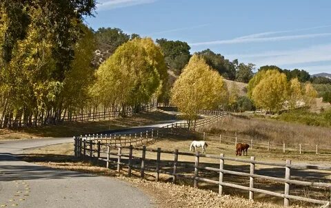 Country drive