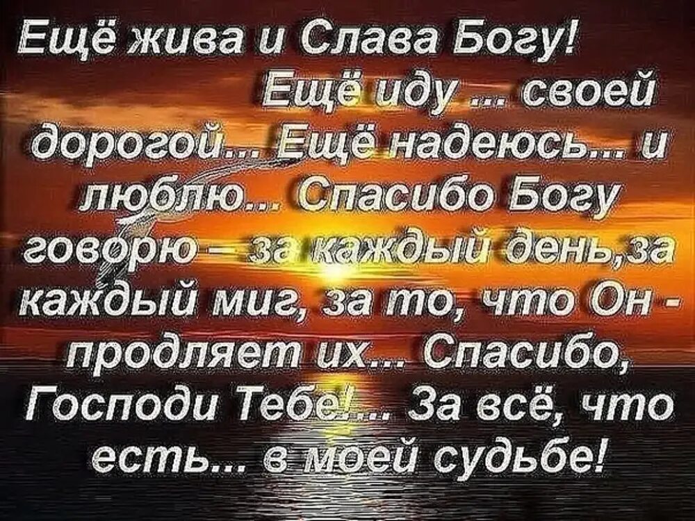 И жить больше не просить