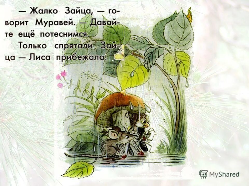 Под грибом читать с картинками. Под грибом. сказки сутеев владимир. рассказ под грибом. сутеев в.г. &quot;под грибом&quot;. страницы книги сутеев под грибом.