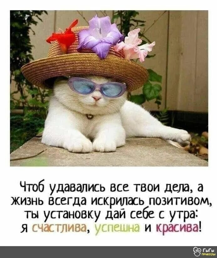 Всем желаю было чтоб оно. С позитивом по жизни. чтоб удавались все твои дела. позитивные стихи. картинки с позитивом по жизни.