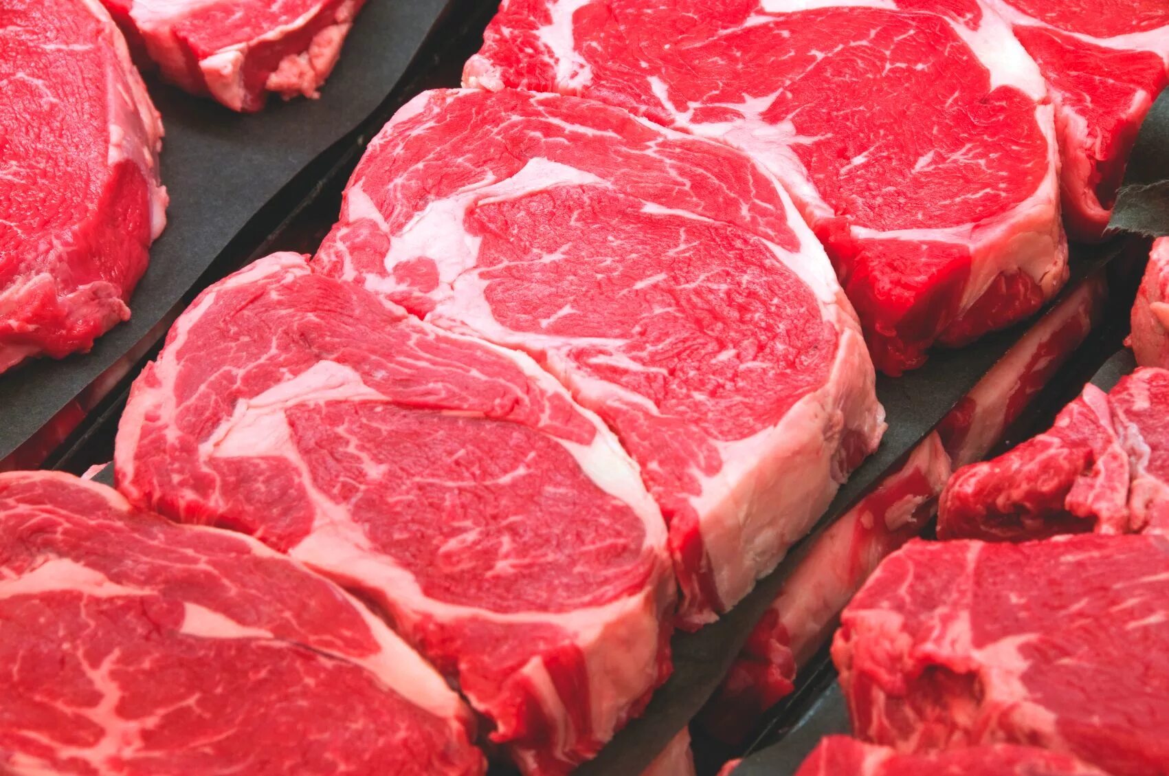 Красное мясо животных. Мясо говядина. Свежее мясо. Свинина. Свинина и говядина.