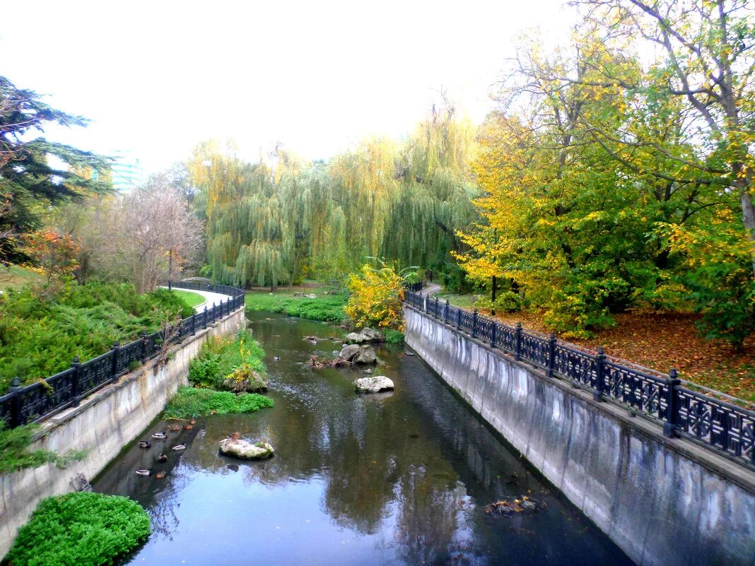 салгир агентство