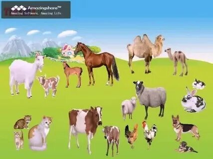 Құбыжықтар мен жындармен жыныстық қатынас