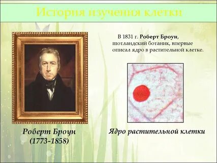 Р броун открытие