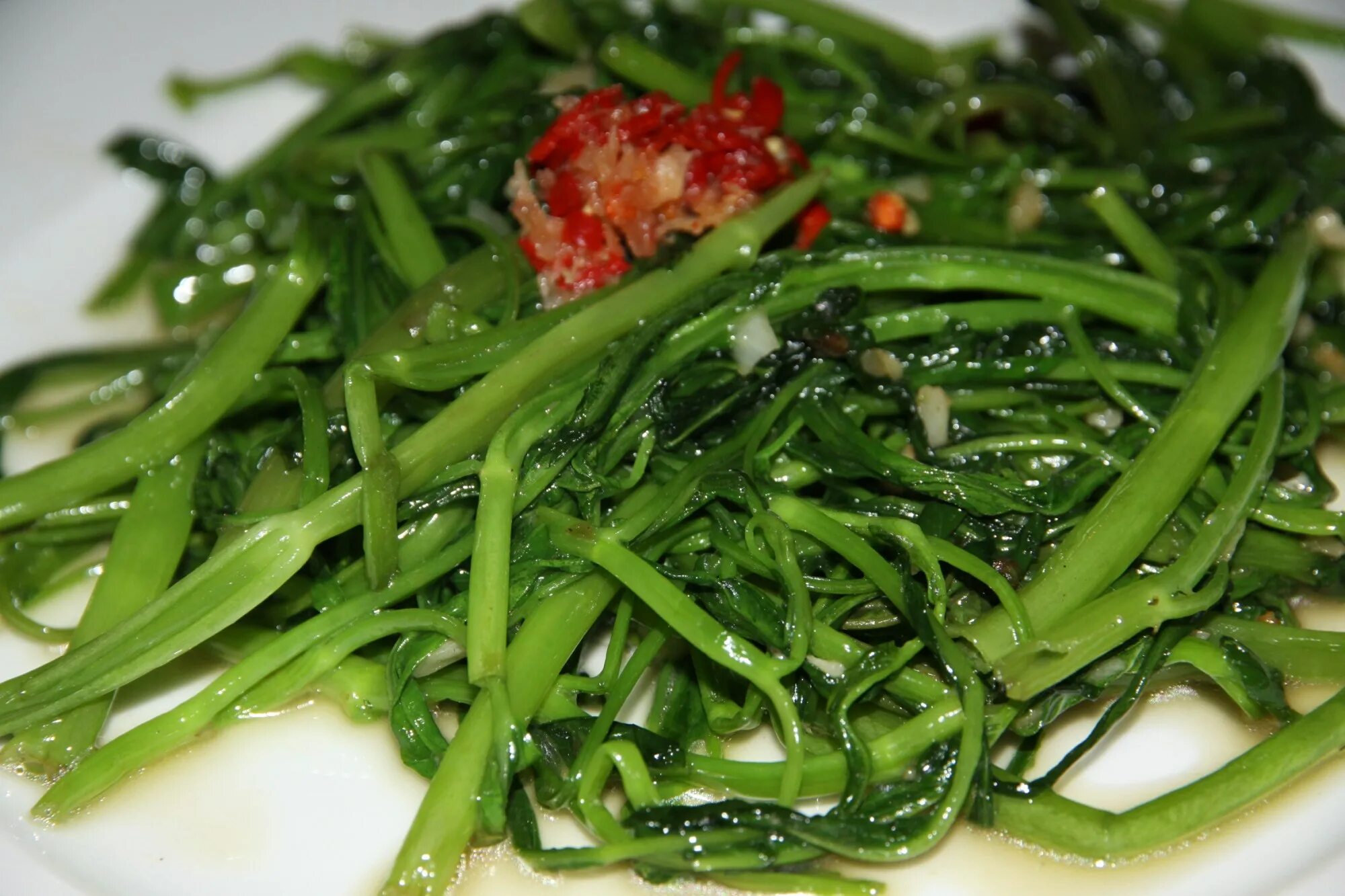 Трава подстрижена жареный. Стричь газон ножницами. Стриженная трава текстура. Стрижка газона. Полевица побегообразующая.