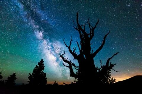 Midnight dawn