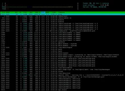 Pid file