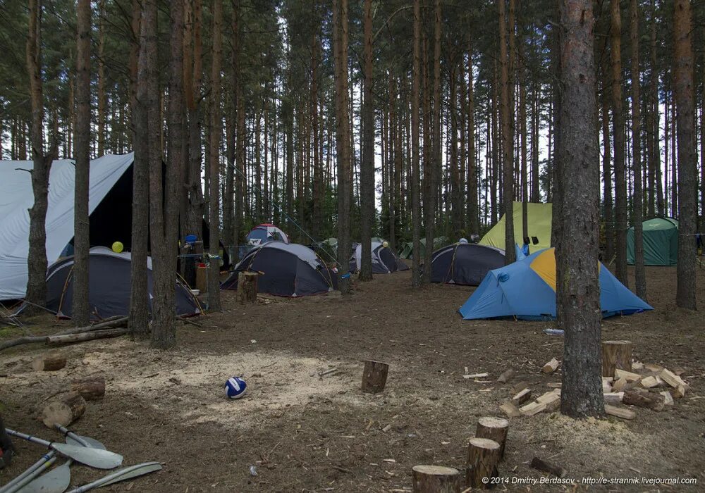 Меню палаточный лагерь. Палаточный лагерь Увильды кемпинг. Автокемпинг Лесная Поляна Тургояк. Тургояк озеро палаточный лагерь. Палаточный лагерь Увильды.