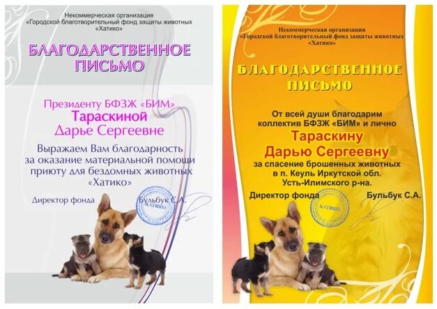 Благодарность приюту для животных. Благодарственное письмо от приюта для животных. Благодарственное письмо от приюта для животных. Благодарность от приюта для животных. Благодарность за помощь приюту для бездомных животных.