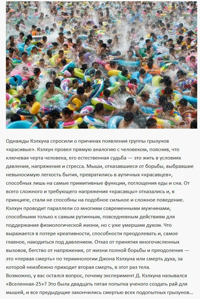 Эксперимент под названием. Эксперимент вселенная 25. мышиный рай вселенная 25. эксперимент кэлхуна. джон кэлхун вселенная 25.