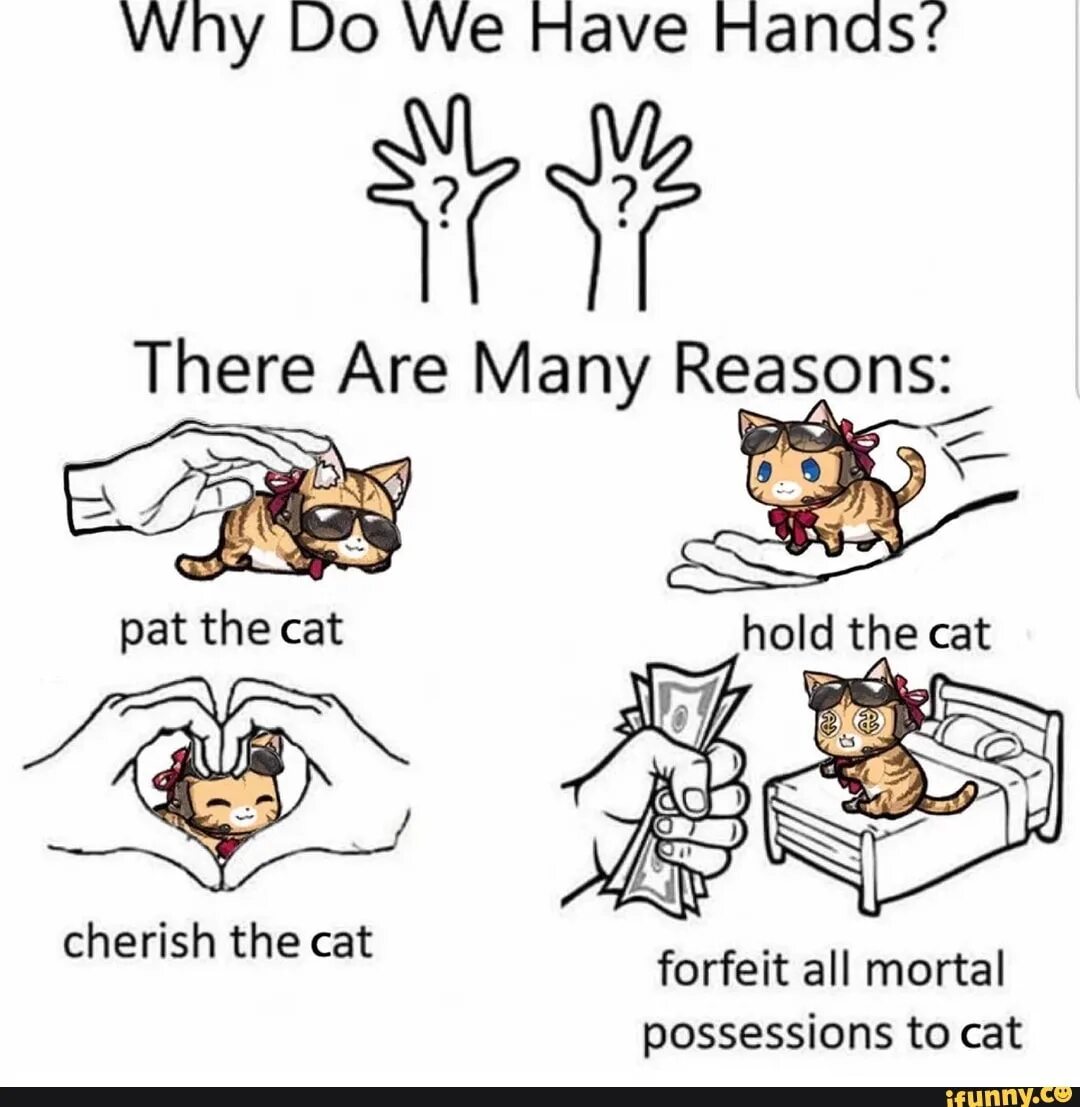 Have them to hand. Why do we have hands meme. Мем why do we have a hands. Why do we have hands? There are many reasons: Pat the hold the cherish the forfeit all Mortal possessions to. Why do we have hands there are msny readins meme.