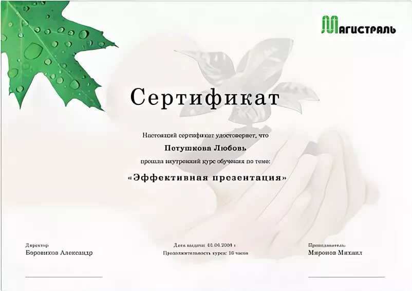 сертификация аудиторов. сертификат соответствия аудитора. аудит сертификат аудитора. сертификация аудиторов. внутри сертификата.