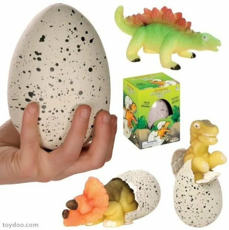 Dinosaur Egg игрушка. Яйцо динозавра Дино Тойс. Динозавр в яйце игрушка вылупляется. Игрушка яйцо динозавра растущее в воде. Растущее яйцо в воде