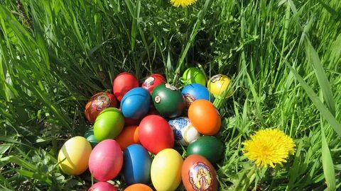 Easter eggs на сегодня