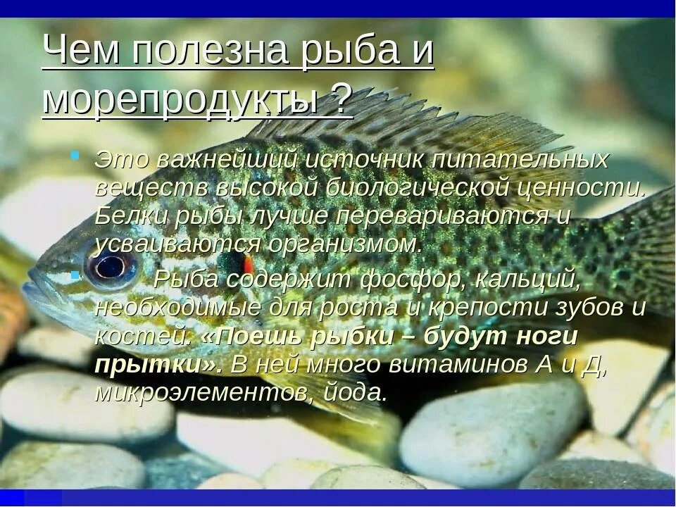 Для чего полезна рыба. Польза рыбы для организма. Какая рыба для организма полезно. Полезные качества рыбы. Полезные качества рыбы.