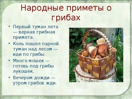 Верный грибы