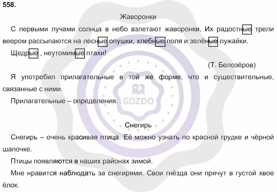 Упражнение 558 5 класс 2 часть. Русский язык 5 класс упражнение 558. Русский язык ладыженская упражнение 558. Русский язык 5 класс 2 часть стр 77 упражнение 558.