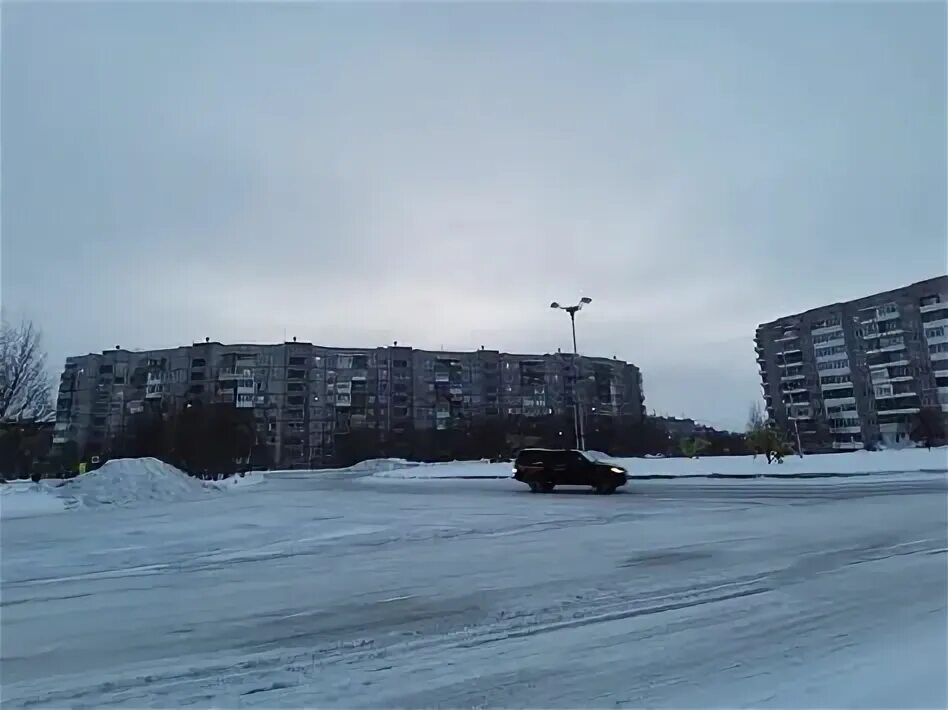 Нападение в мурманской области. Волк в Оленегорске Мурманской области. Оленегорск-8 Мурманской области. Мурманск Оленегорск. Высокий Мурманская область.