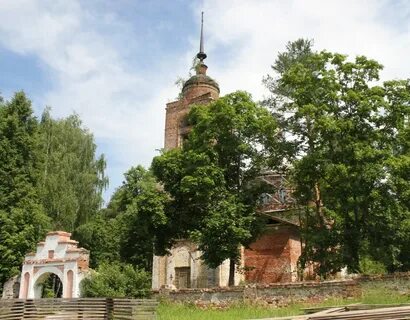 Дмитриевская область