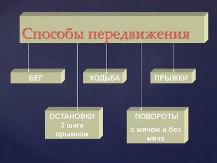 Сообщение необычные способы передвижения