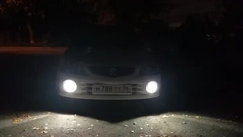 Фамилия туманок