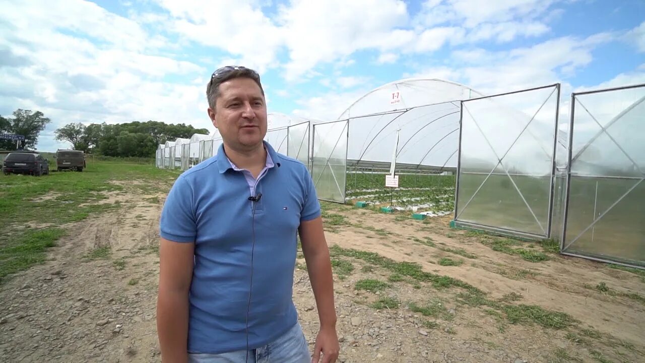 Мингазов н н. Ильшат мингазов ульяновск. Шамиль мингазов. Директор вэлан зеленокумск. Мингазов руслан салимзянович.