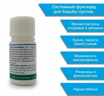Луна экспириенс