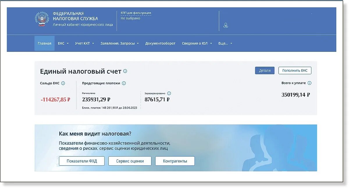 Пополнение енс 2024. Отрицательное сальдо ЕНС. ЕНС налоговая. ЕНС баланс. Сальдо ЕНС В личном кабинете налоговой.