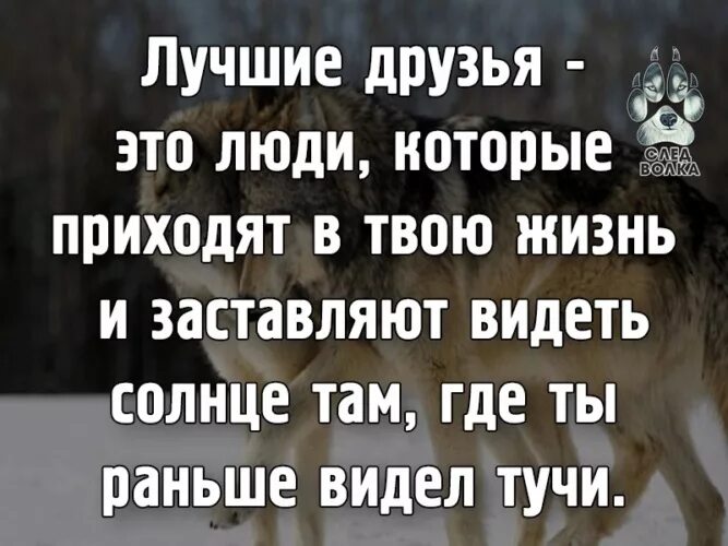 Жизнь и друзья цитаты. Цитаты про друзей. лучшие друзья цитаты. лучший друг цитаты. лучшие друзья это люди которые приходят в твою жизнь.