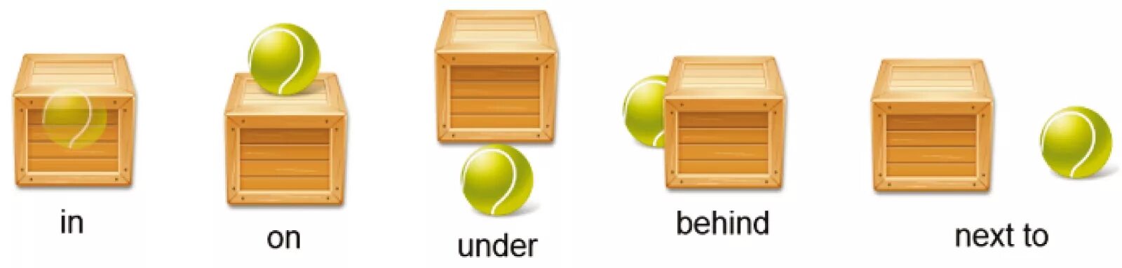 Behind m. On in under behind next to. behind under. предлоги under behind in on. предлоги in next to behind under.