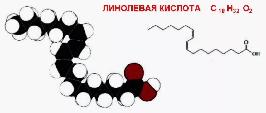 Линолевая и линоленовая кислоты. Линолевая и Альфа-линоленовая кислота. Линоленовая кислота структурная формула.