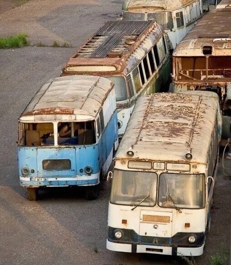 Автобус старый оскол кладбище. ЛИАЗ 677 Ржавый. Кладбище автобусов СССР. Кладбище автобусов в Москве. Брошенные автобусы.