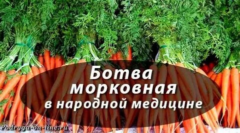 Свойства ботвы моркови