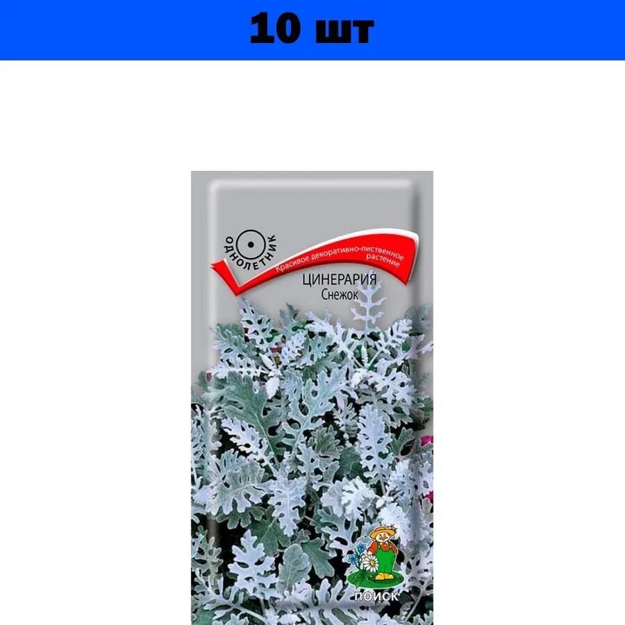 Снежка 0. Цинерария снежок 0.1г (поиск). Семена цинерария снежок. Снежок из нулевых синий.