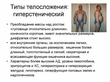 Гиперстеническое телосложение