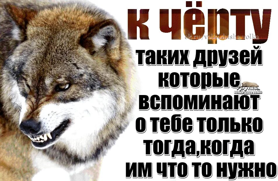 Вспоминай меня тогда. Друзья которые вспоминают о тебе. нафиг таких друзей которые вспоминают. вспоминают только тогда когда в тебе нуждаются. нахер таких друзей которые вспоминают.