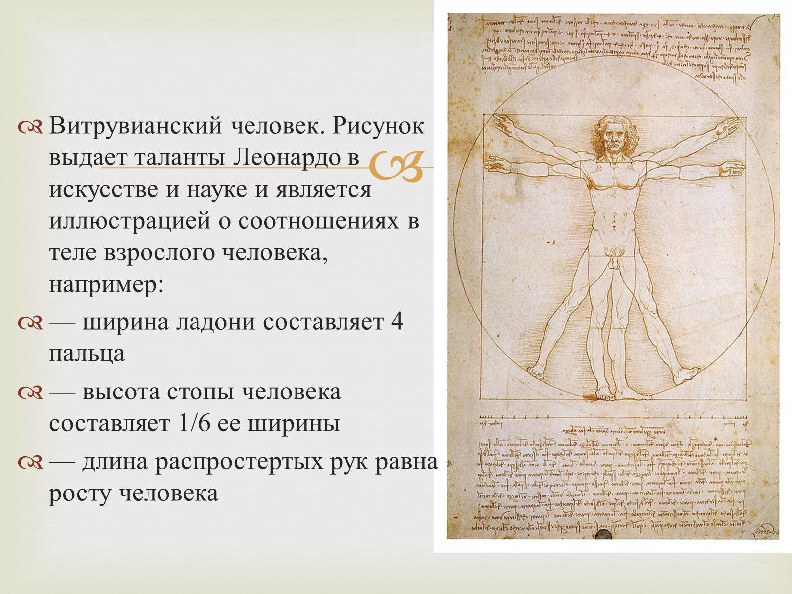 Пропорции да винчи тела. Леонардо да винчи витрувианский человек. леонардо да винчи человек витрувианский пропорции. идеальные пропорции леонардо да винчи. человек леонардо да винчи пропорции человеческого тела.