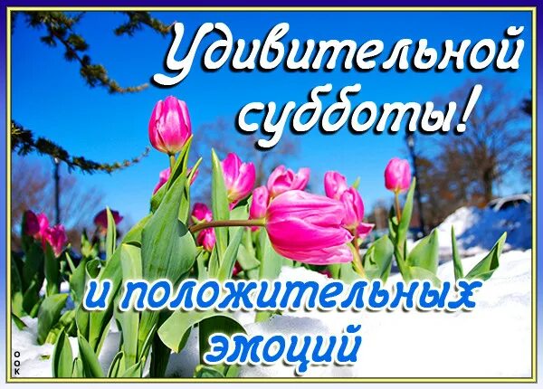 Хорошей субботы весной. Доброго весеннего дня. Отличной весенн субб. Доброго субботнего дня весной.