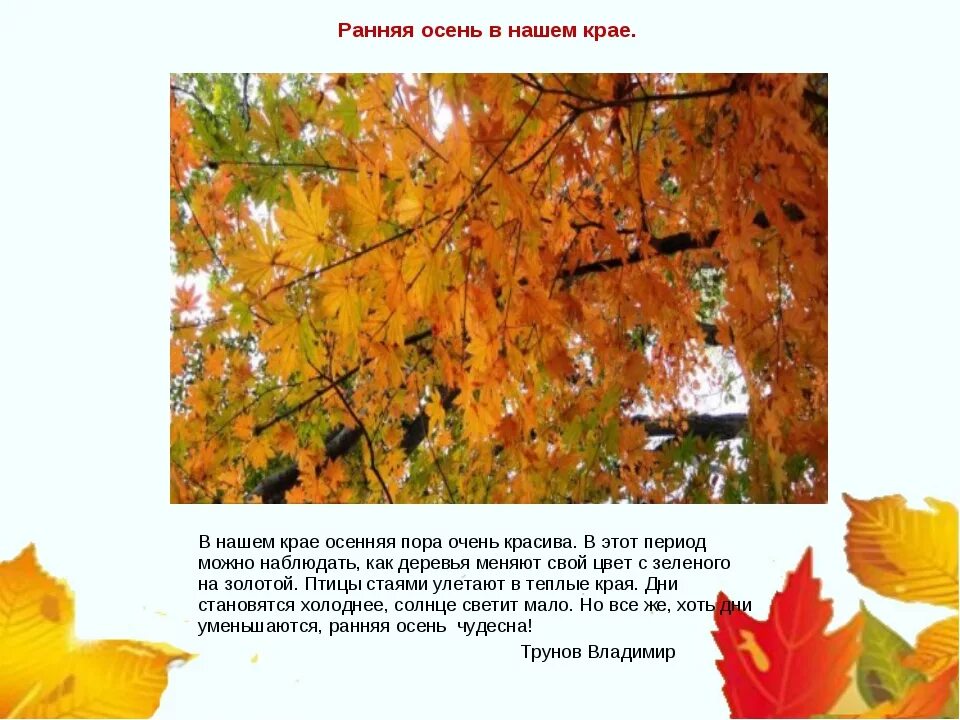 Природа осенью текст. Сочинение ранняя осень. Описание ранней осени. Сочинение на тему осень на татарском. Сочинение на тему ранняя осень.