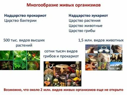 Все виды живых организмов