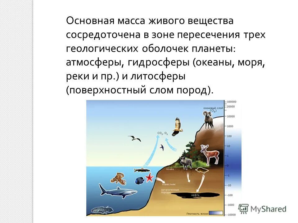 основную массу живого