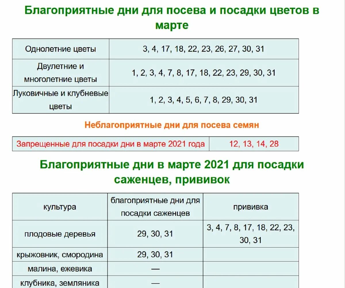 Благоприятные дни посева томатов в марте 2025г. Лунный посевной календарь на 2025 год. лунный посевной календарь на 2025 год садовода. лунный посевной календарь на 2025 год садовода и огородника. лунный календарь садовода на 2025 год.
