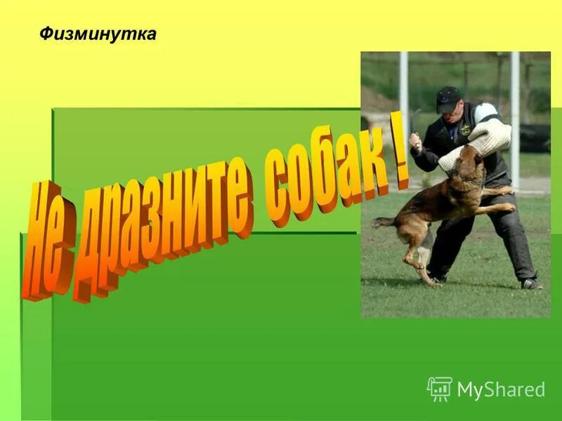 скирда и зарод. мясоедов страдная пора косцы. клод моне стог сена в живерни 1886. животные на ферме. кроссворд малые жанры фольклора.