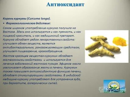 Куркума противопоказания для женщин