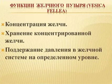 Роль желчного пузыря в организме