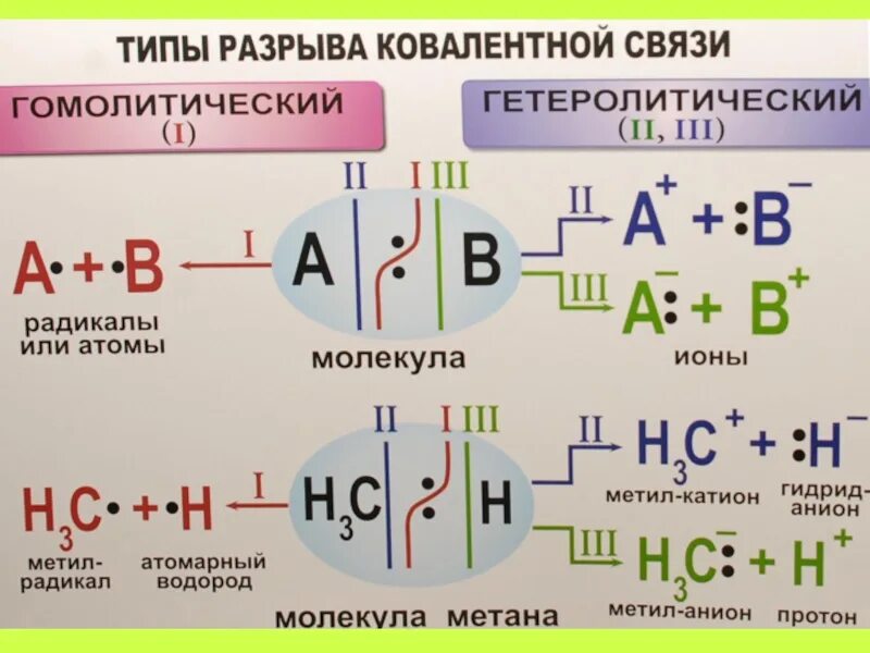 Способы разрыва связей в молекулах органических веществ. Типы разрыва хим связей. Типы разрыва ковалентной связи. Способы разрыва ковалентной связи в органических соединениях. Типы разрыва связей в органических соединениях.