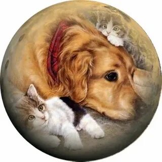 Животные круглой формы